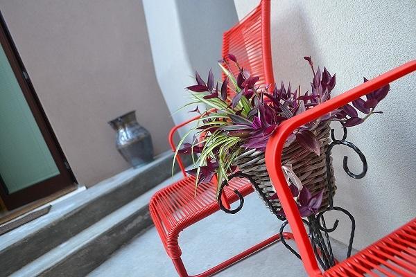 Bed and Breakfast La Salvia E Il Lampone Pove del Grappa Екстер'єр фото