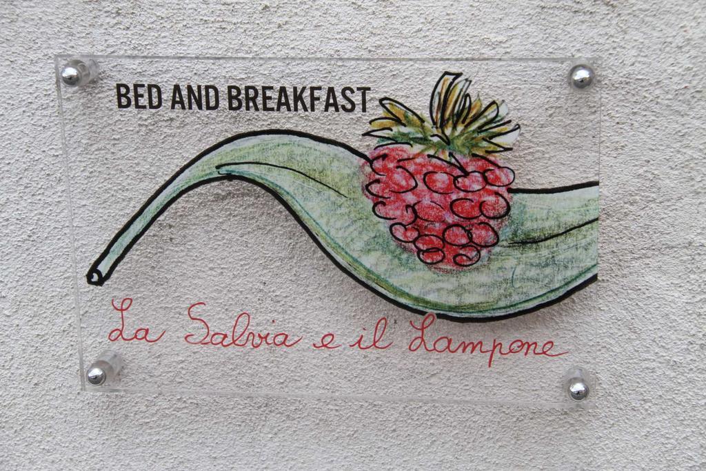 Bed and Breakfast La Salvia E Il Lampone Pove del Grappa Екстер'єр фото